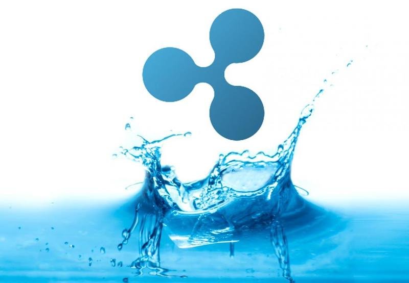 リップル スウェル 2019